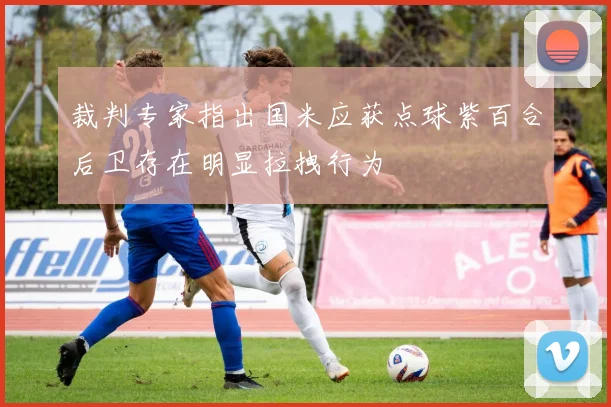 裁判专家指出国米应获点球紫百合后卫存在明显拉拽行为