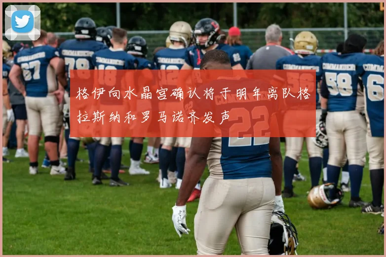 格伊向水晶宫确认将于明年离队格拉斯纳和罗马诺齐发声